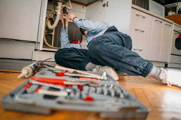 Best Water Softener Installation  in Pelican Marsh, FL