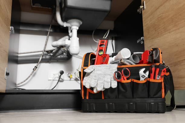 Best Same-Day Plumbing Service  in Pelican Marsh, FL